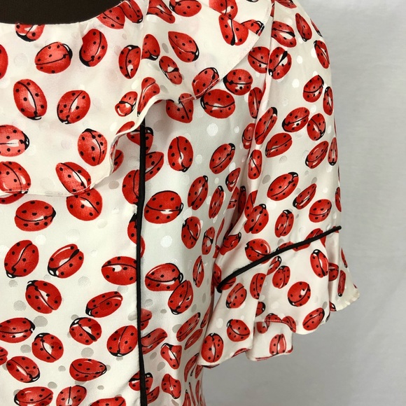 Silk Vintage Ladybug Dress - Picture 4 of 6